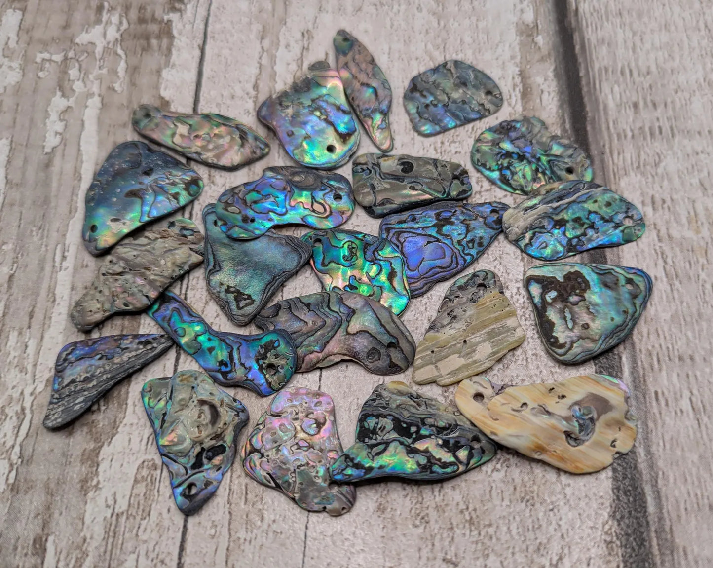 20 New Zealand wild rainbow Pāua unpolished satin abalone beads