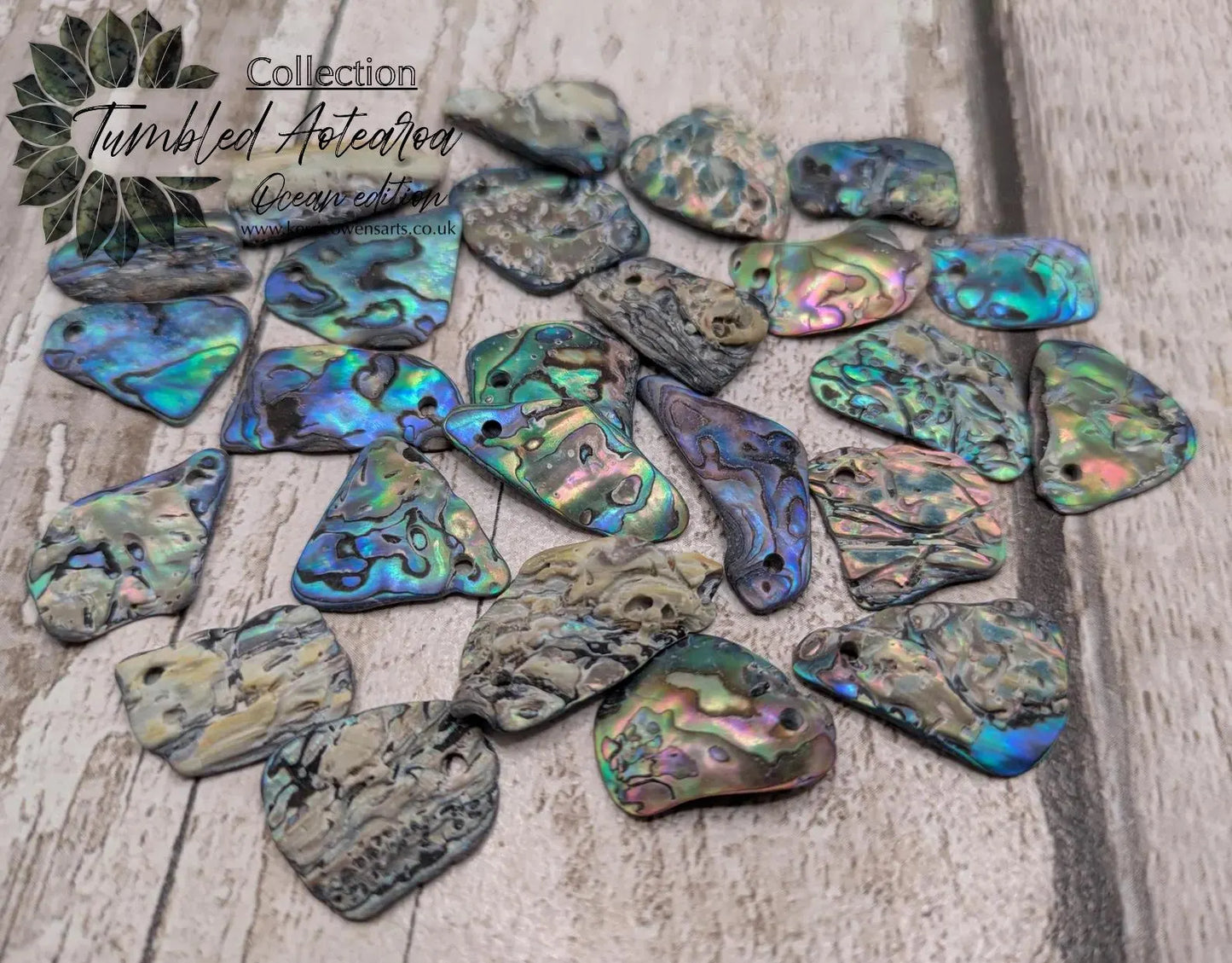 20 New Zealand wild rainbow Pāua satin finish abalone beads.