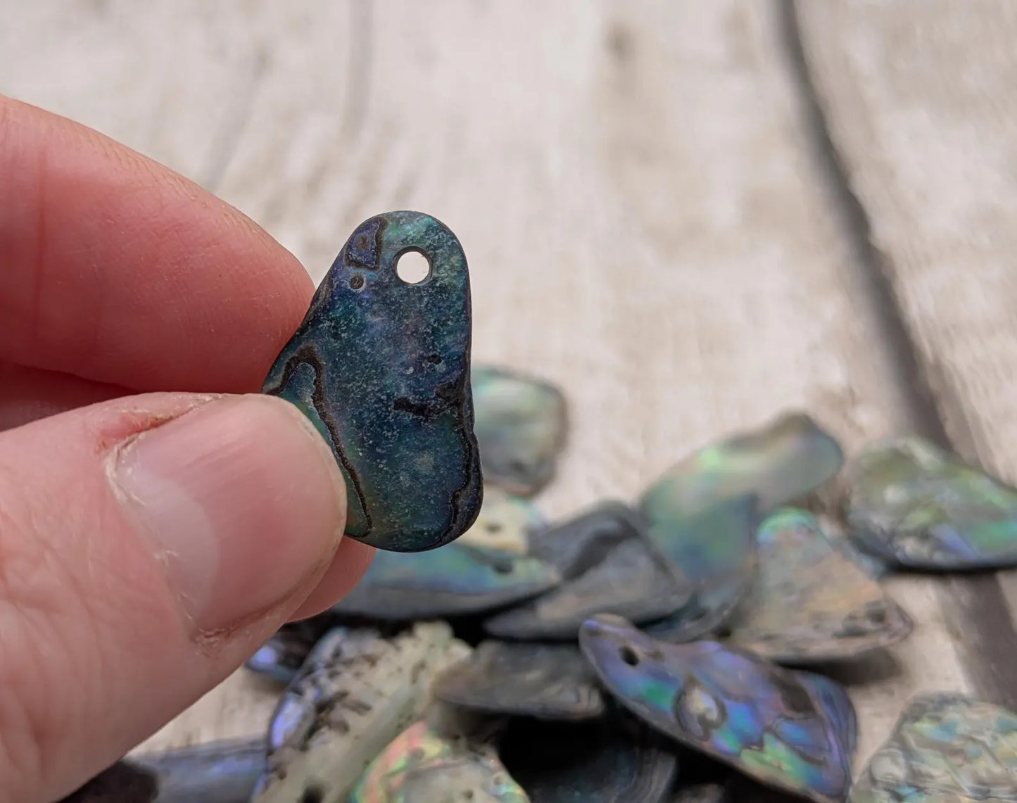 20 New Zealand wild rainbow Pāua satin finish abalone beads.