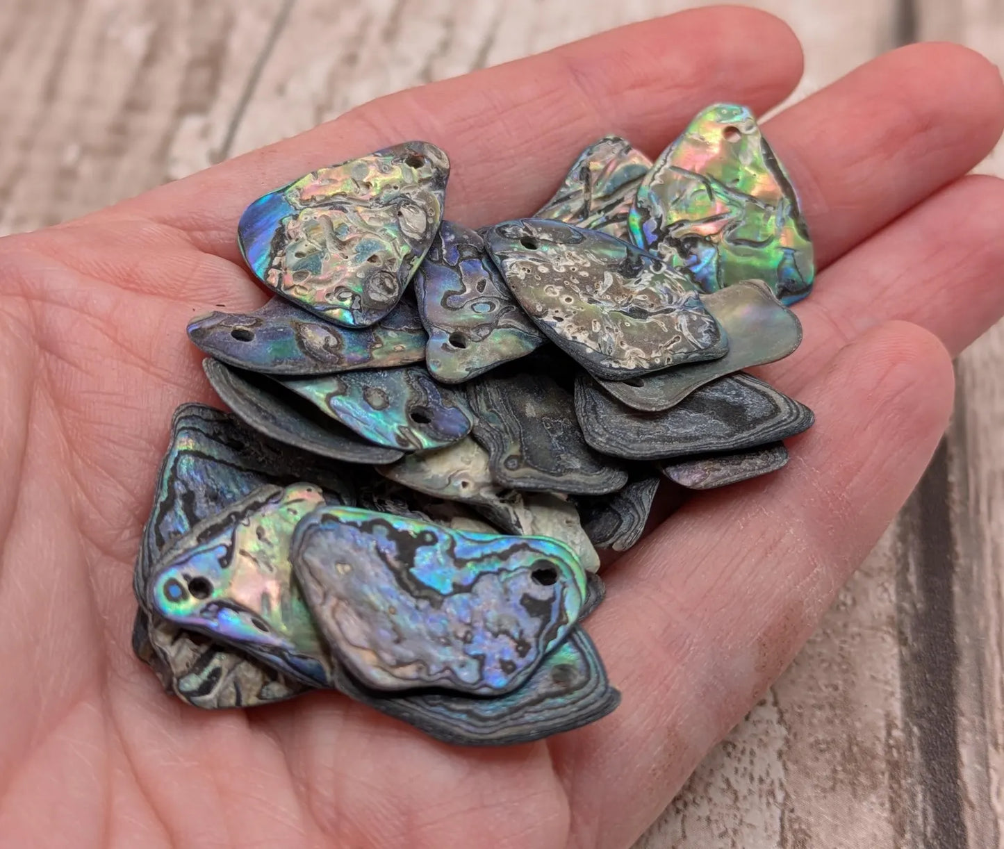 20 New Zealand wild rainbow Pāua satin finish abalone beads.