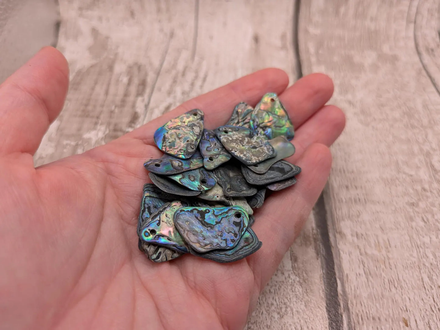 20 New Zealand wild rainbow Pāua satin finish abalone beads.
