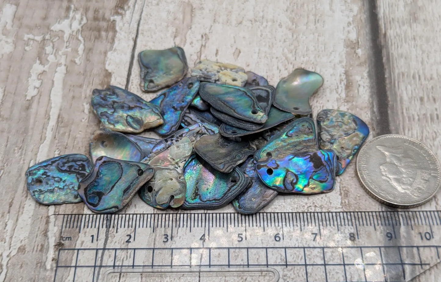 20 New Zealand wild rainbow Pāua satin finish abalone beads.