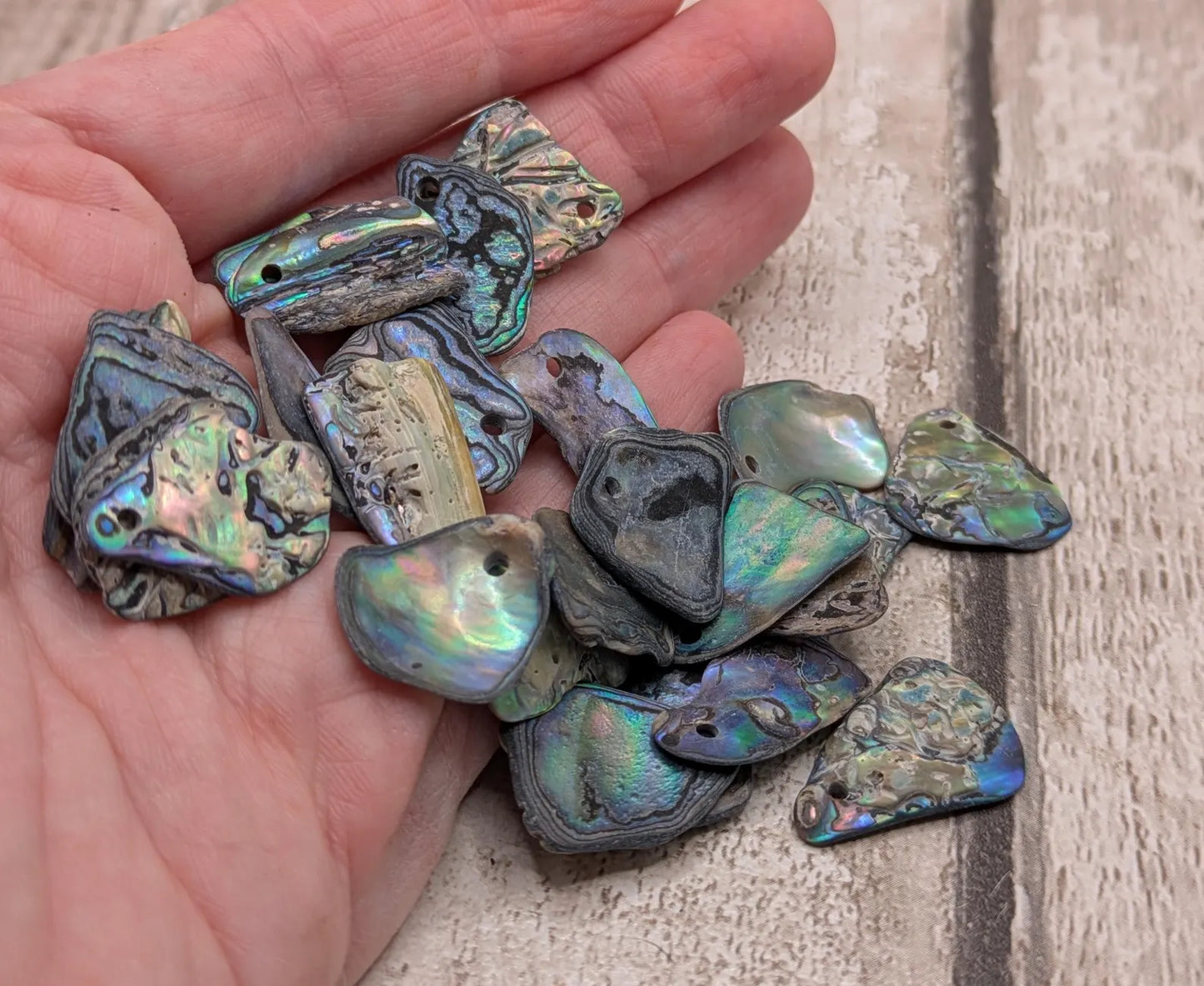 20 New Zealand wild rainbow Pāua satin finish abalone beads.