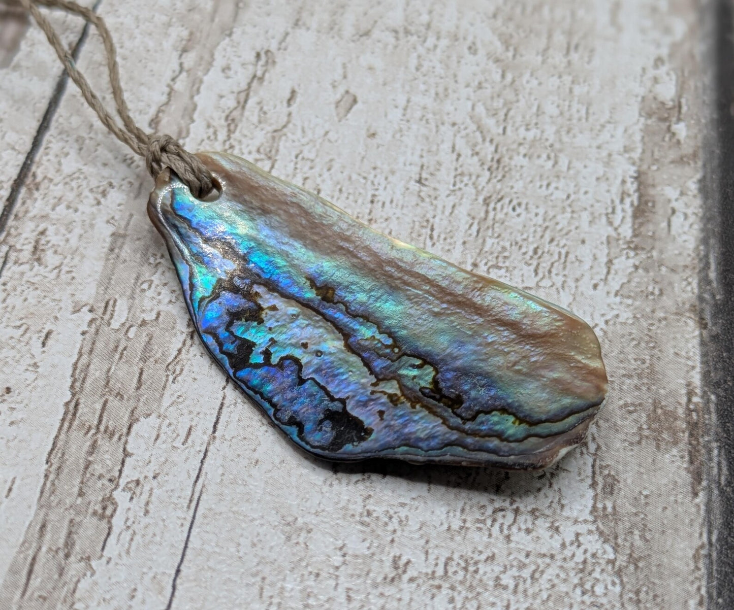 Wild New Zealand naturally tumbled rainbow Pāua shell free form.