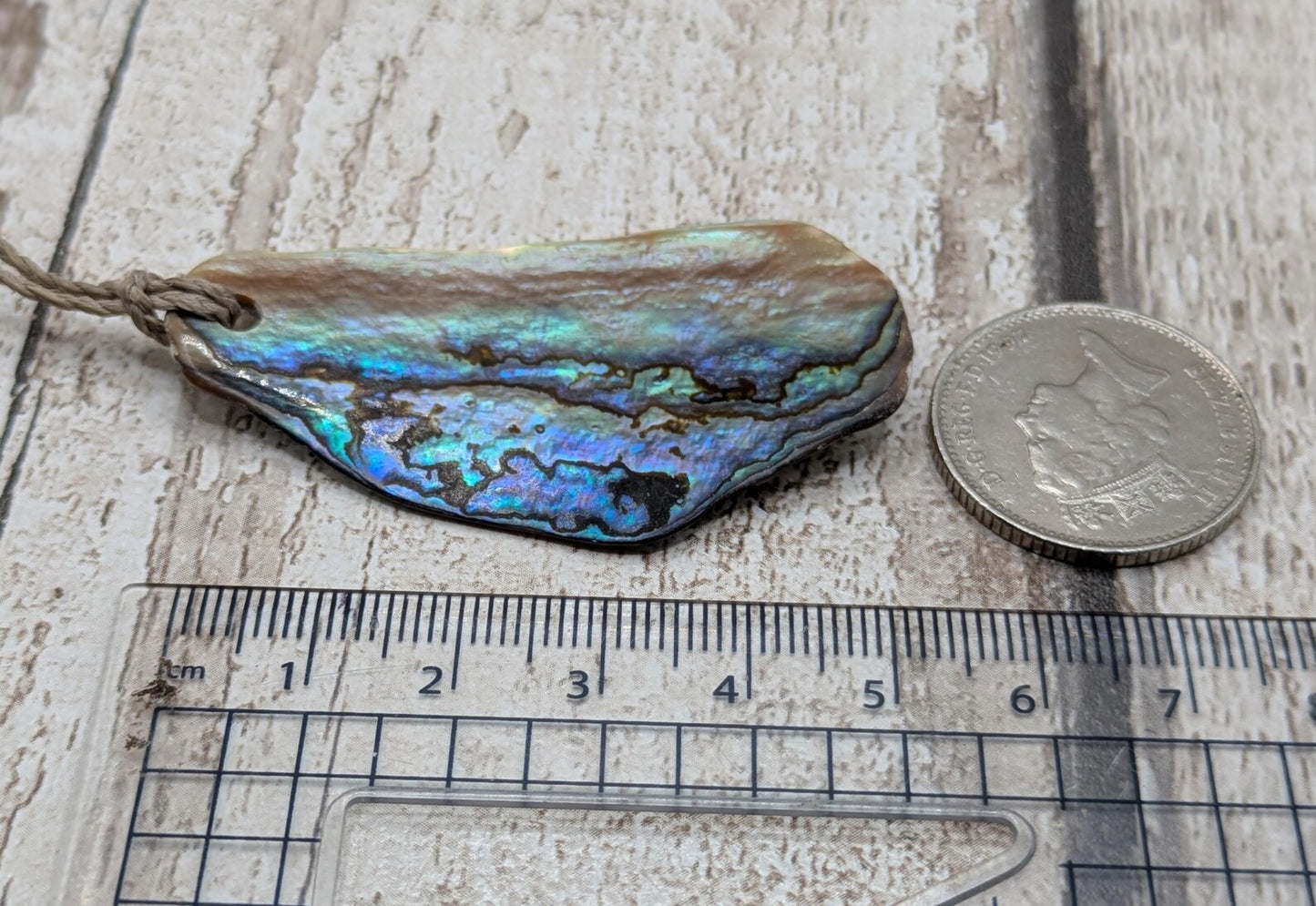 Wild New Zealand naturally tumbled rainbow Pāua shell free form.