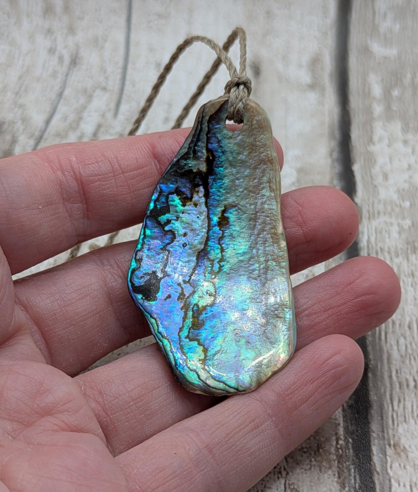 Wild New Zealand naturally tumbled rainbow Pāua shell free form.