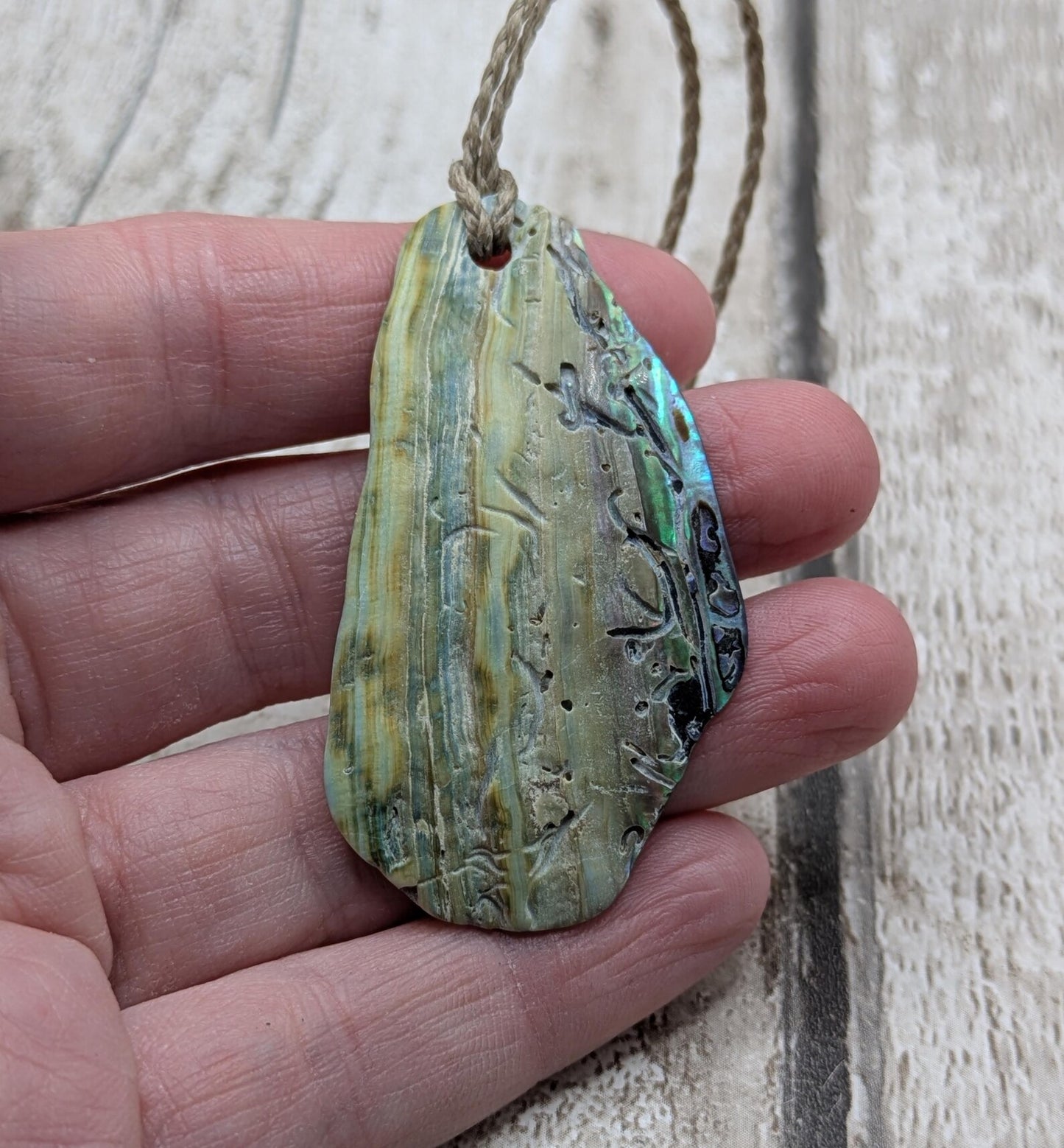 Wild New Zealand naturally tumbled rainbow Pāua shell free form.