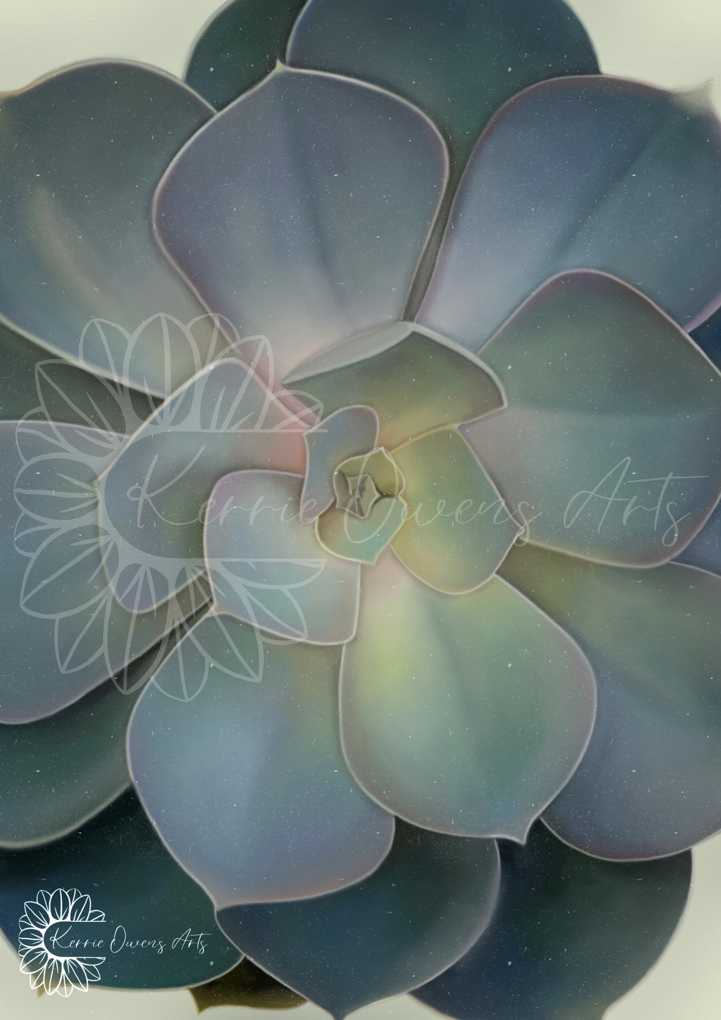 Green ombré succulent poster print.