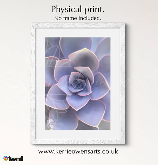 Light purple ombré succulents poster print.