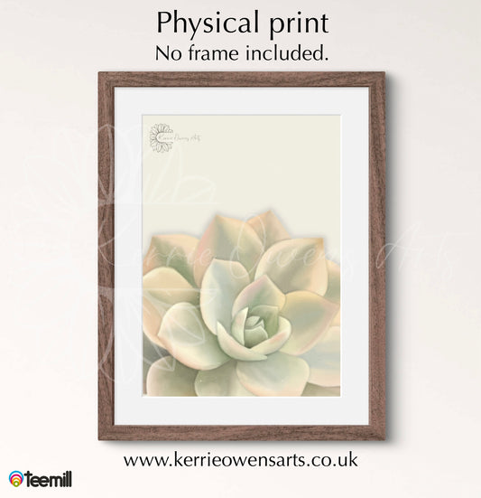 Light green ombré succulent poster print.