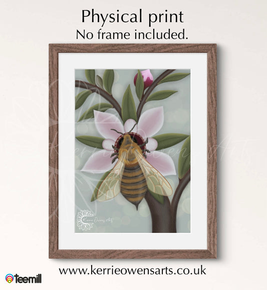 Honey bee on manuka flower poster print.