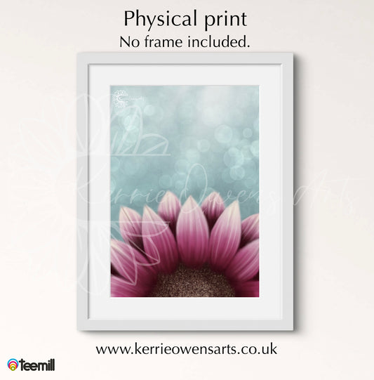 Lower angle pink sunflower poster print.