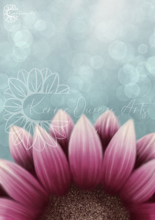 Lower angle pink sunflower poster print.