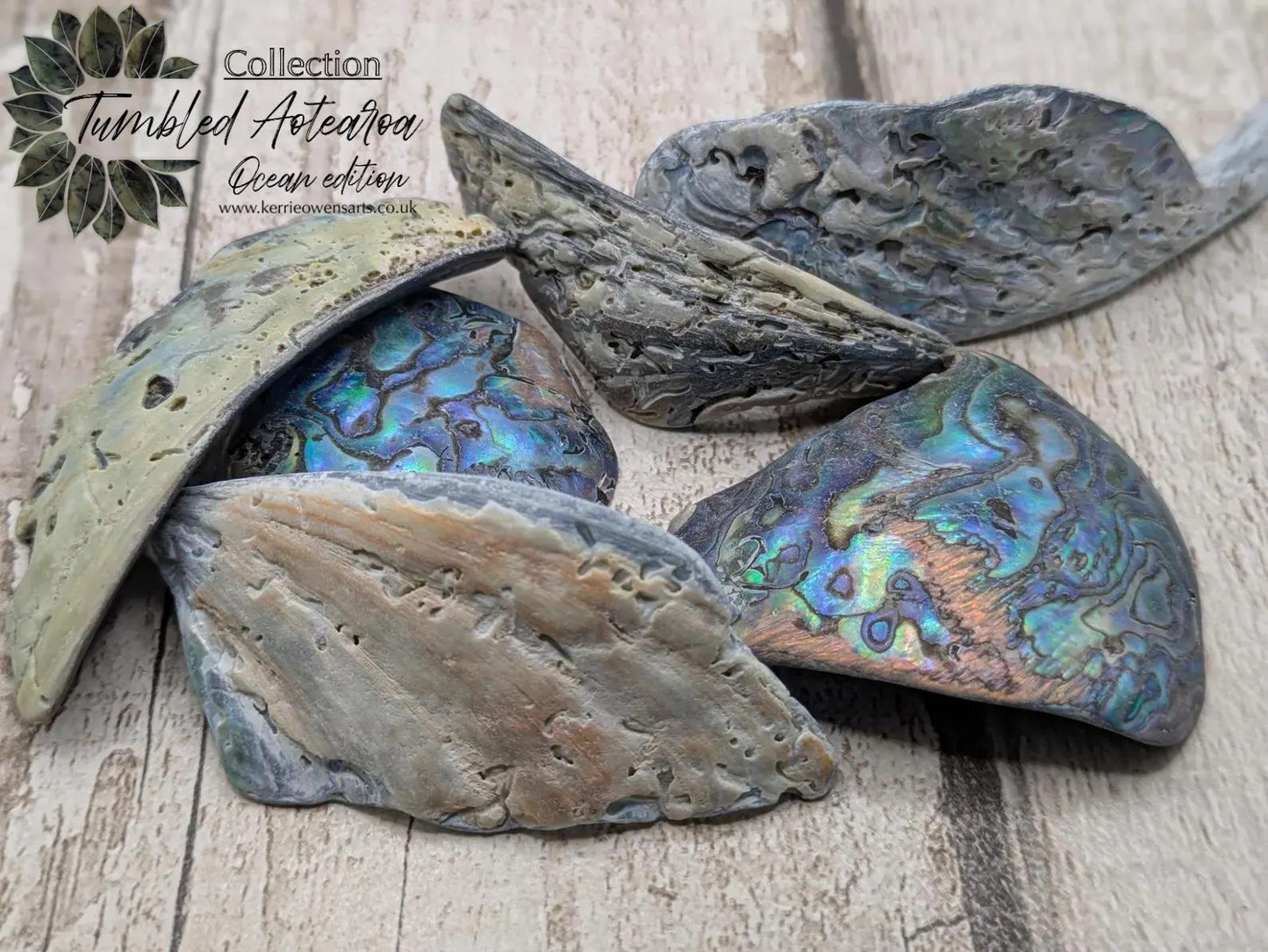 one XL Wild Tumbled NZ Rainbow Pāua Shell from Kaikōura – Natural Abalone for Spiritual Healing, metaphysical, Crafting & Collecting.