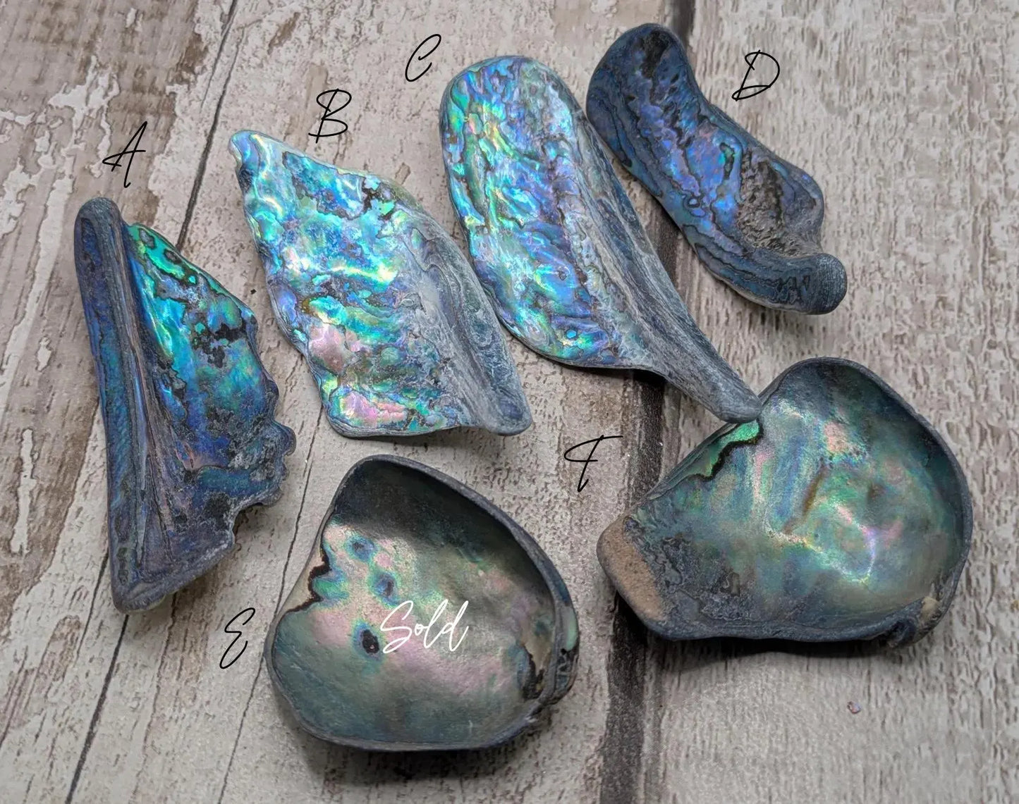 one XL Wild Tumbled NZ Rainbow Pāua Shell from Kaikōura – Natural Abalone for Spiritual Healing, metaphysical, Crafting & Collecting.