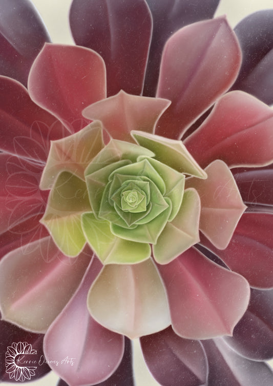 Green to purple ombre succulent up close poster print.