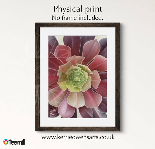 Green to purple ombre succulent up close poster print.