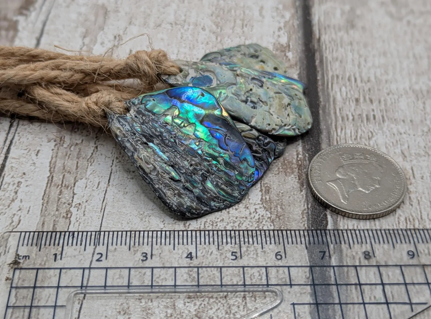 5 pack New Zealand Rainbow Pāua shell seasonal hanging tree decorations.