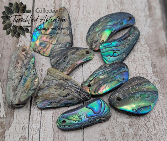 10 unpolished Rainbow wild beach combed NZ Pāua Shell Beads – Top-Drilled Natural Abalone for Jewelry Making & Art Projects.