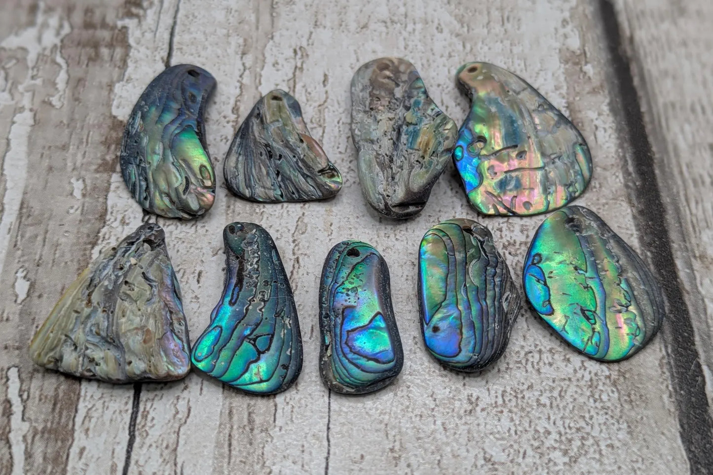 10 unpolished Rainbow wild beach combed NZ Pāua Shell Beads – Top-Drilled Natural Abalone for Jewelry Making & Art Projects.