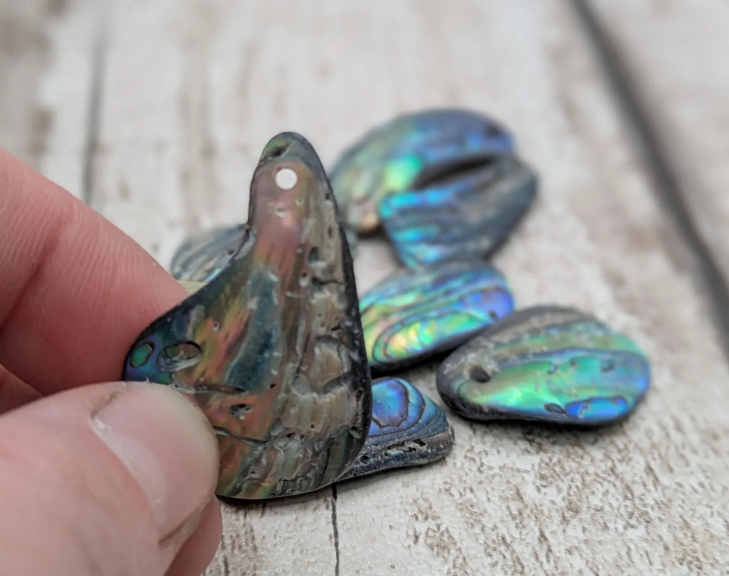 10 unpolished Rainbow wild beach combed NZ Pāua Shell Beads – Top-Drilled Natural Abalone for Jewelry Making & Art Projects.