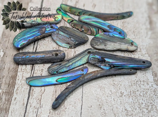 10 unpolished Rainbow wild beach combed NZ Pāua Shell rim Beads – Top-Drilled Natural Abalone for Jewelry Making & Art Projects.
