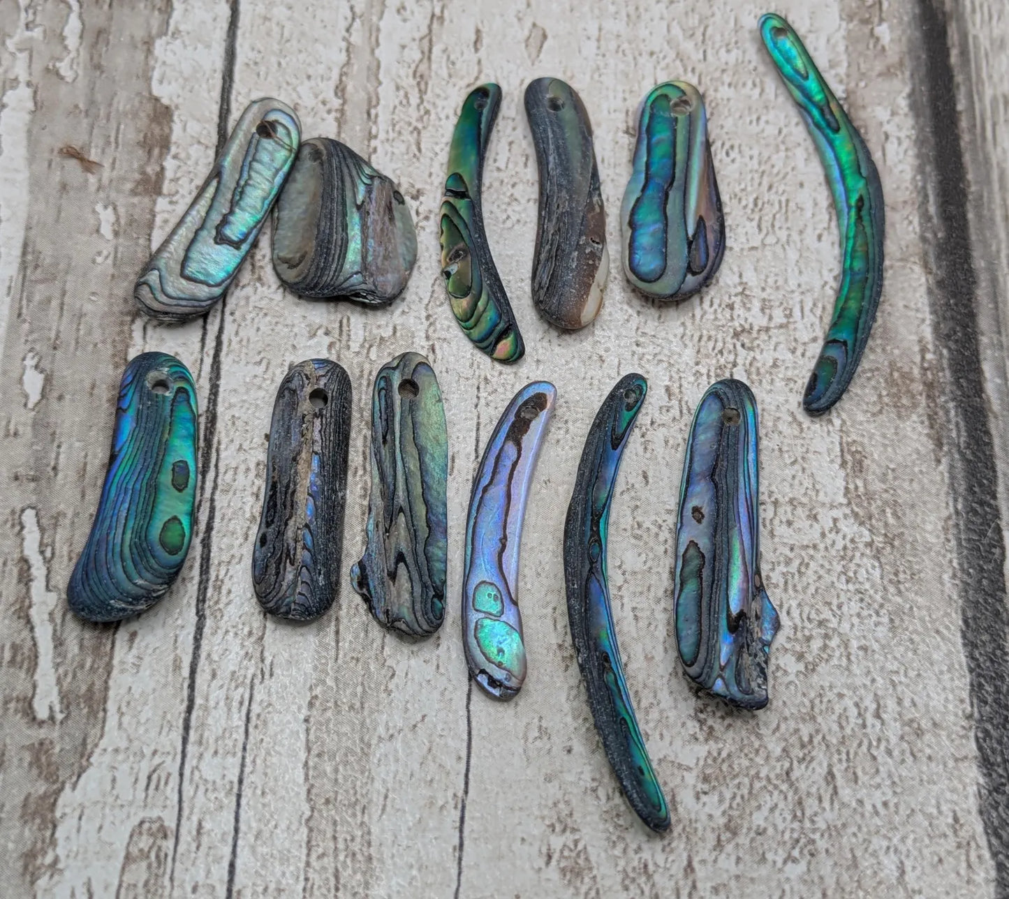 10 unpolished Rainbow wild beach combed NZ Pāua Shell rim Beads – Top-Drilled Natural Abalone for Jewelry Making & Art Projects.