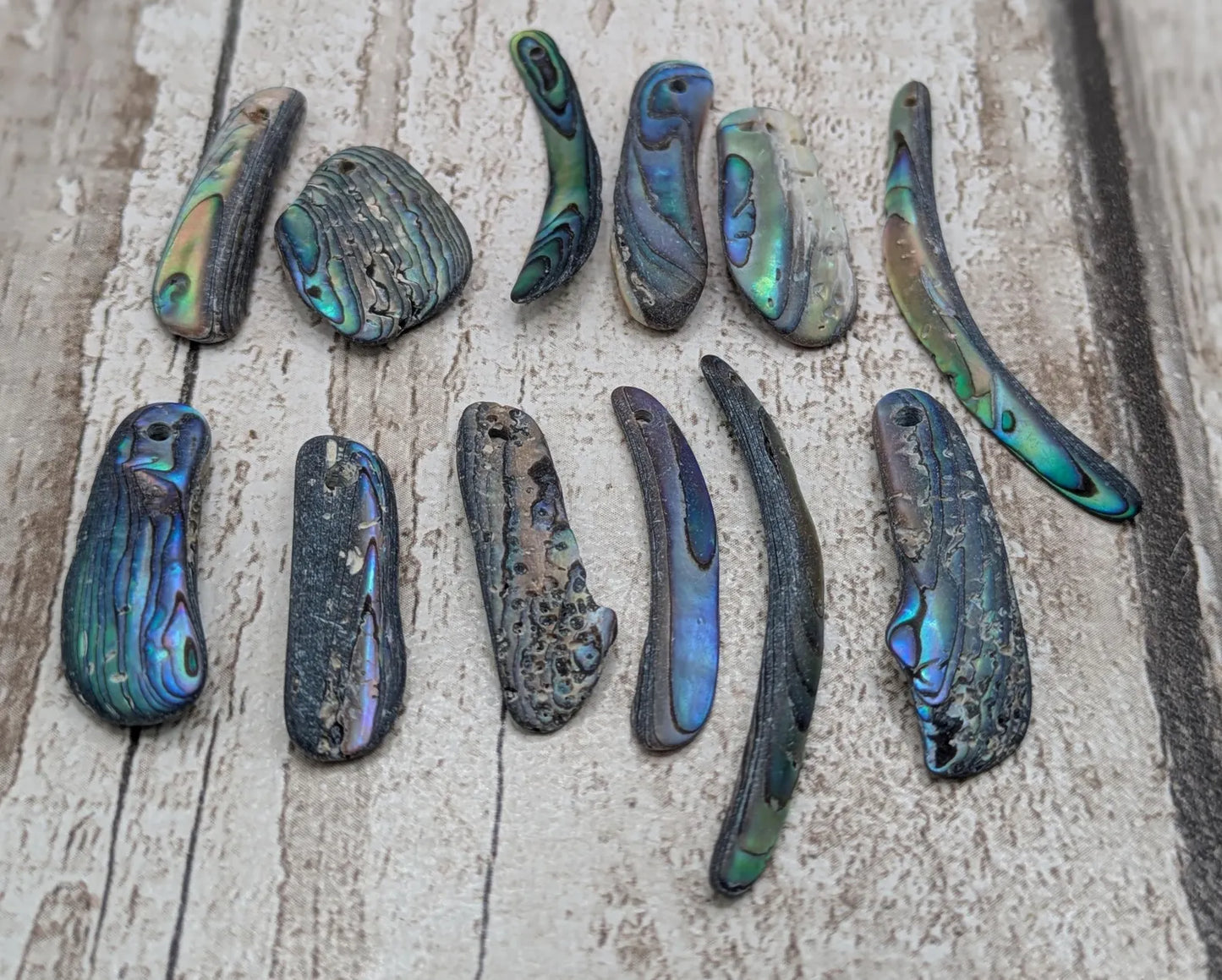 10 unpolished Rainbow wild beach combed NZ Pāua Shell rim Beads – Top-Drilled Natural Abalone for Jewelry Making & Art Projects.