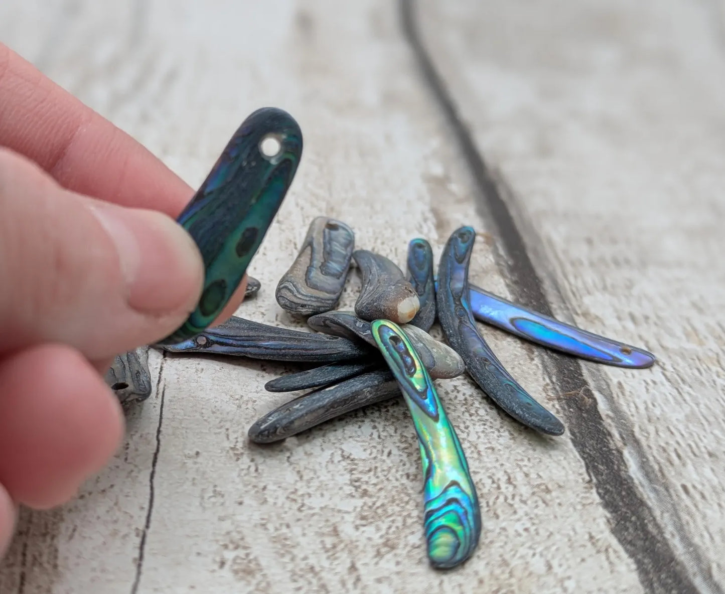 10 unpolished Rainbow wild beach combed NZ Pāua Shell rim Beads – Top-Drilled Natural Abalone for Jewelry Making & Art Projects.