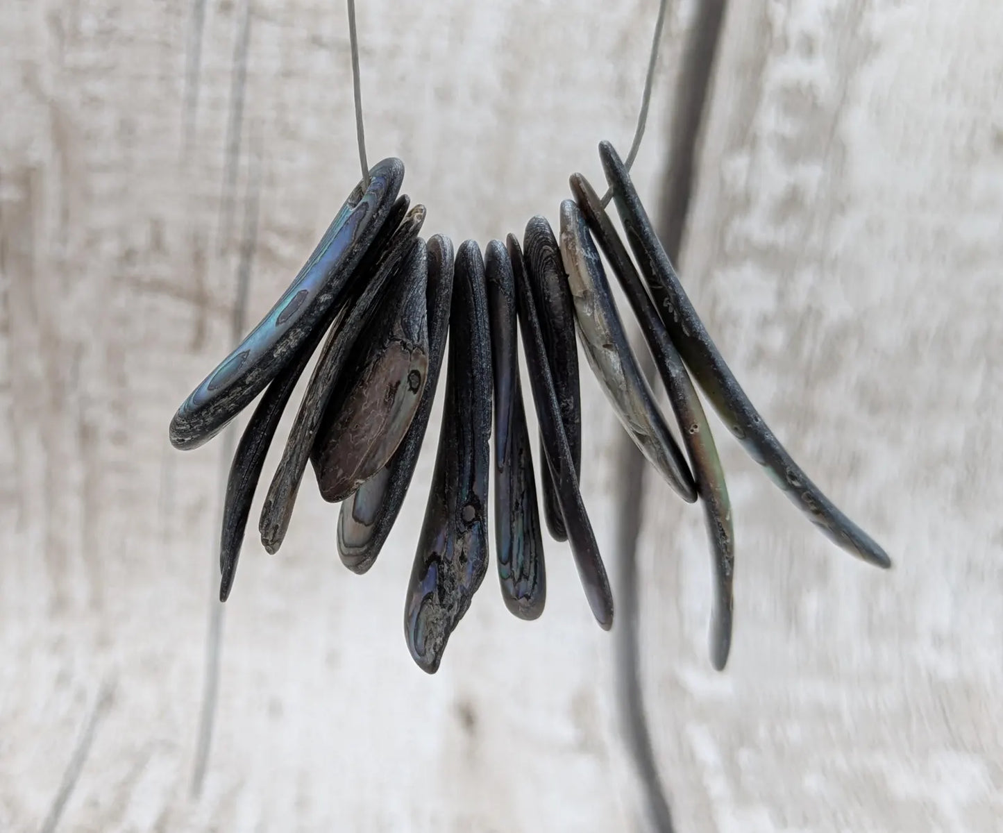 10 unpolished Rainbow wild beach combed NZ Pāua Shell rim Beads – Top-Drilled Natural Abalone for Jewelry Making & Art Projects.