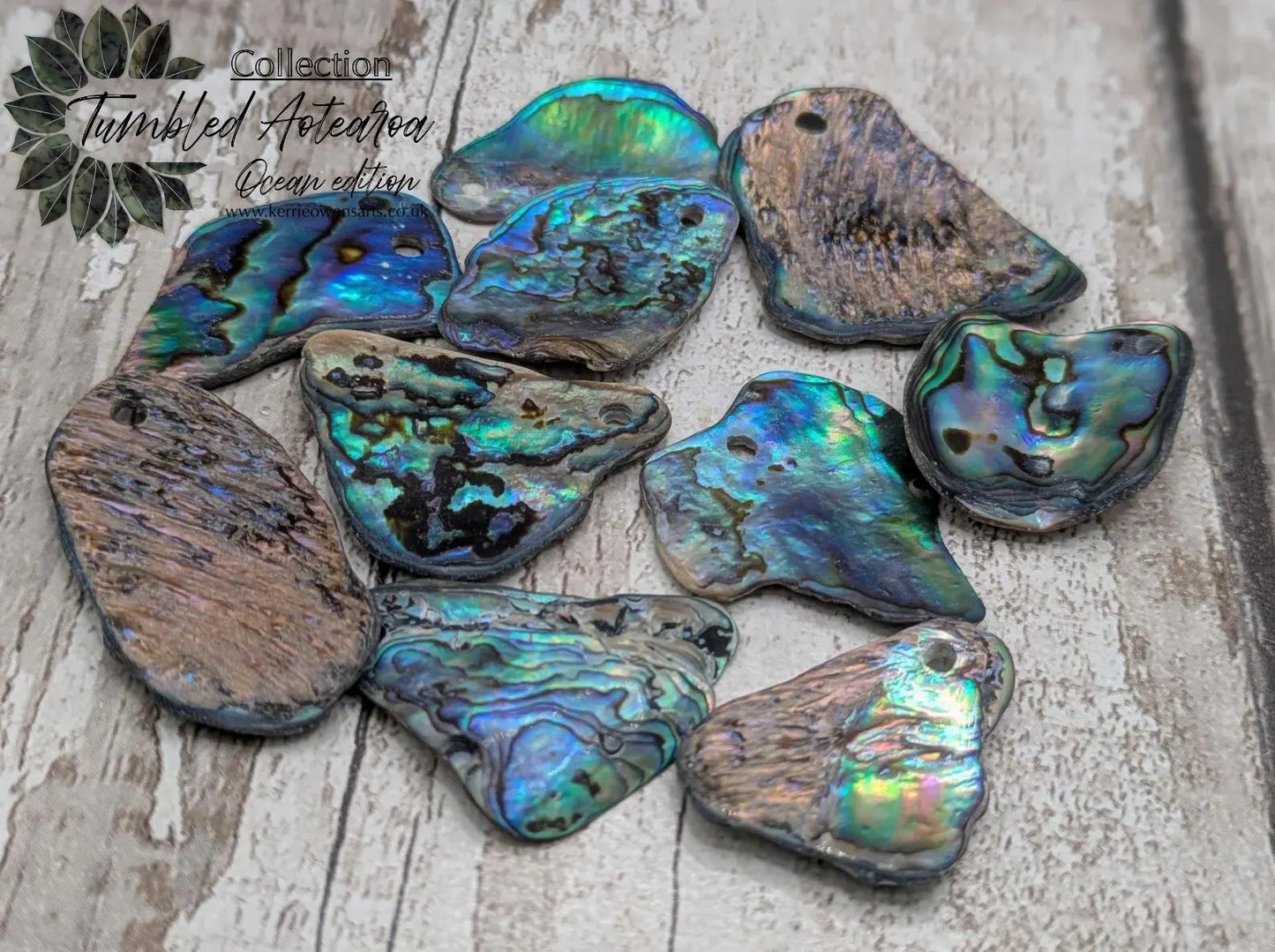 10 unpolished Rainbow wild beach combed NZ Pāua Shell rim Beads – Top-Drilled Natural Abalone for Jewelry Making & Art Projects.