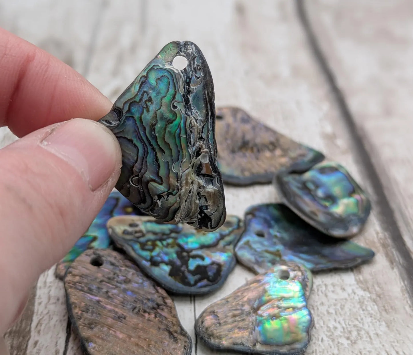 10 unpolished Rainbow wild beach combed NZ Pāua Shell rim Beads – Top-Drilled Natural Abalone for Jewelry Making & Art Projects.