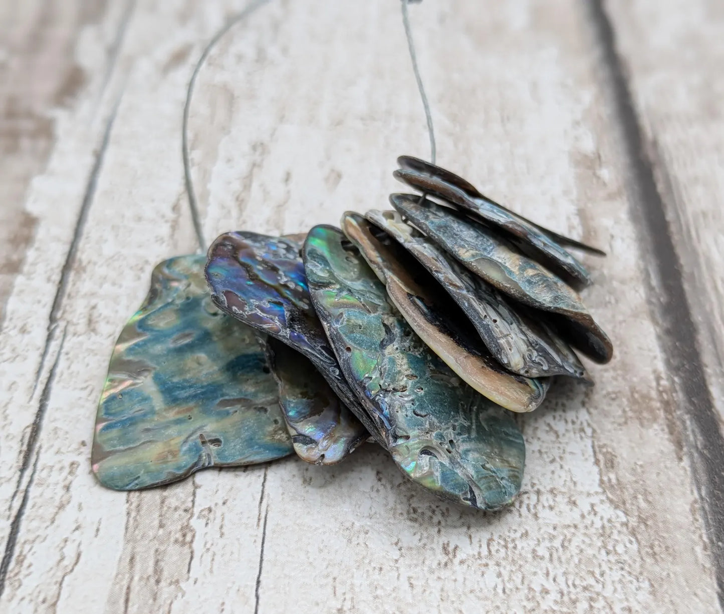 10 unpolished Rainbow wild beach combed NZ Pāua Shell rim Beads – Top-Drilled Natural Abalone for Jewelry Making & Art Projects.