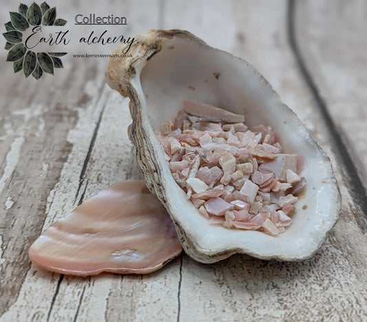 new Zealand pink freshwater water mussel shell chips.