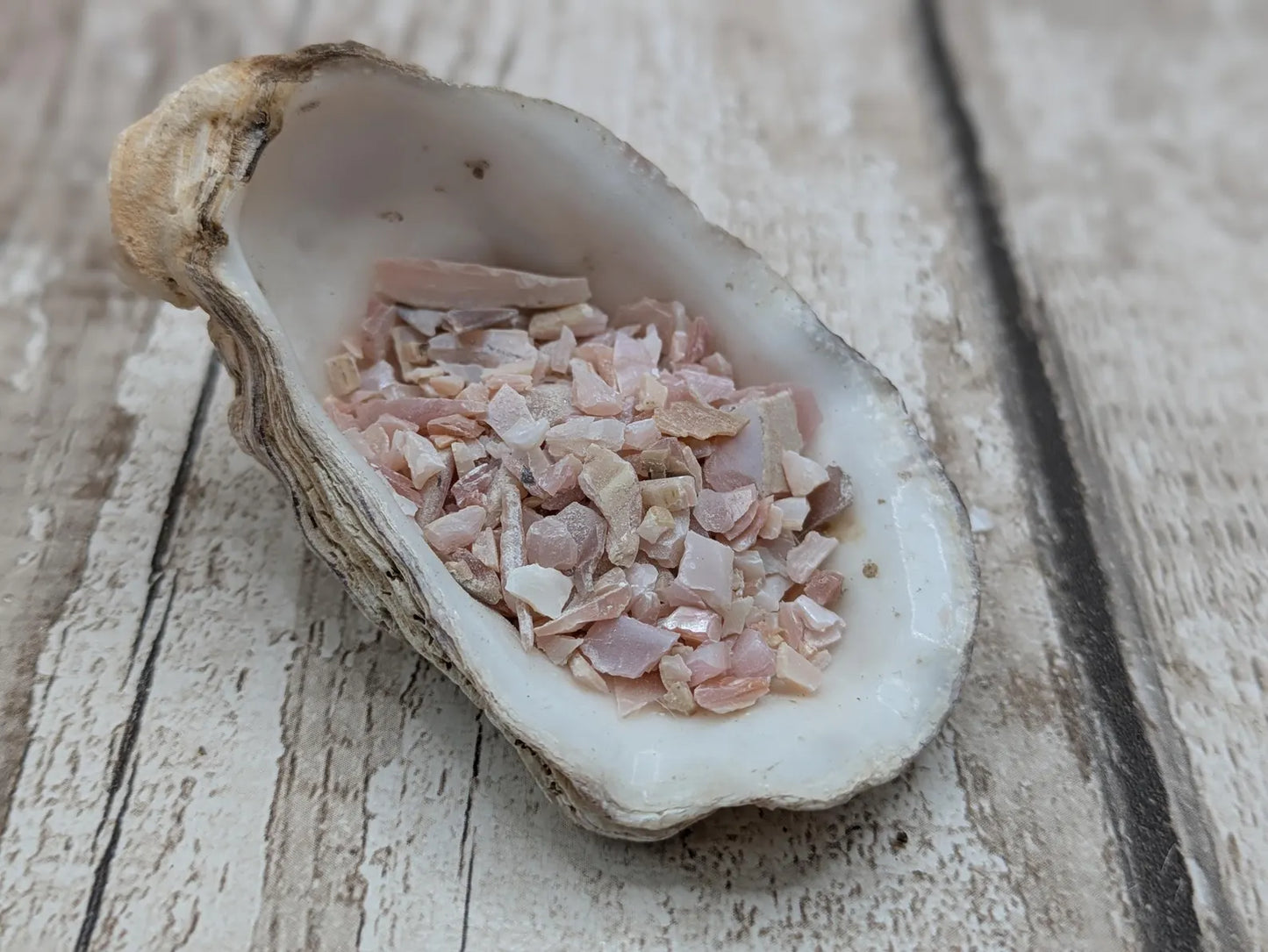 new Zealand pink freshwater water mussel shell chips.
