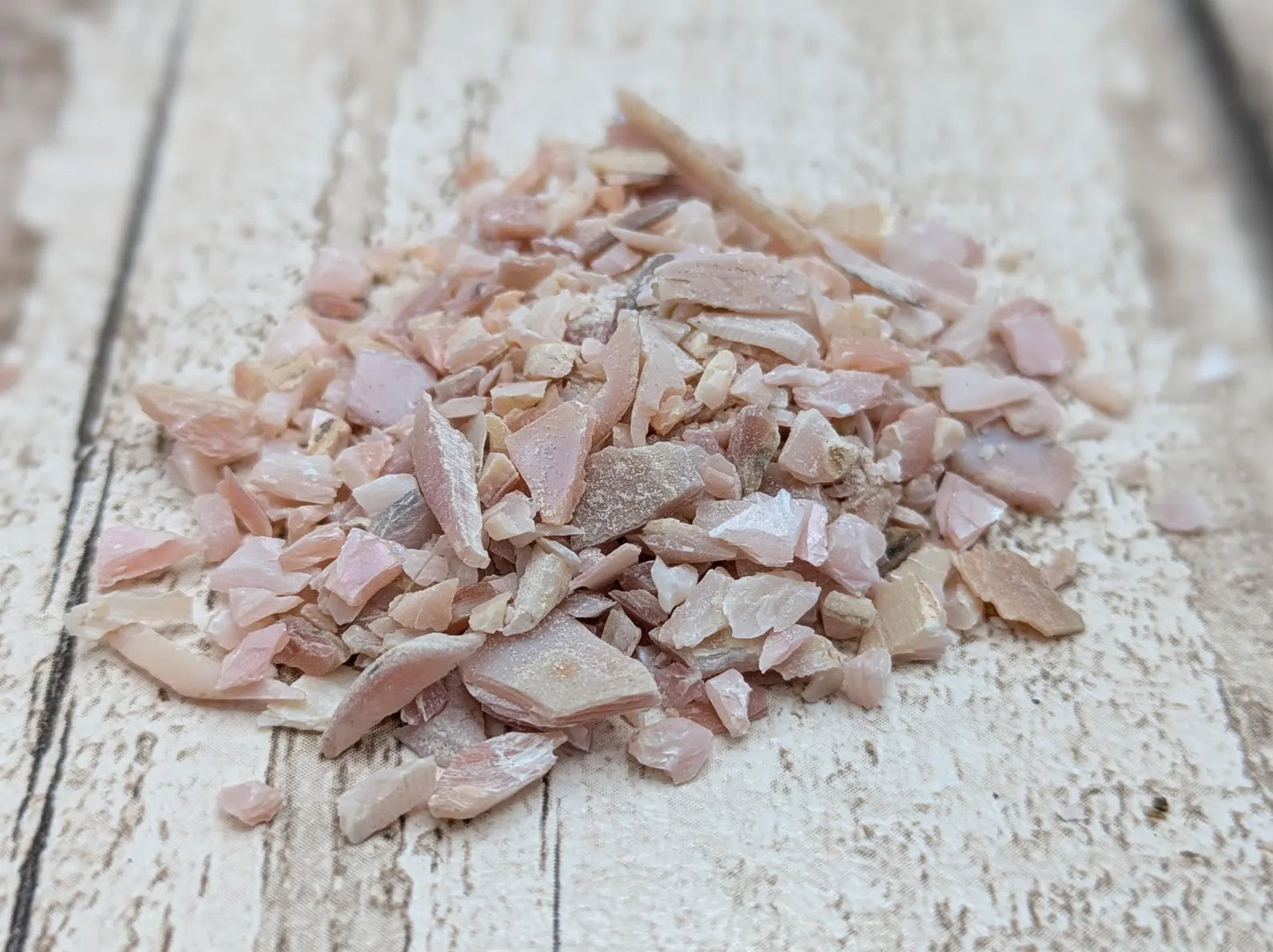 new Zealand pink freshwater water mussel shell chips.
