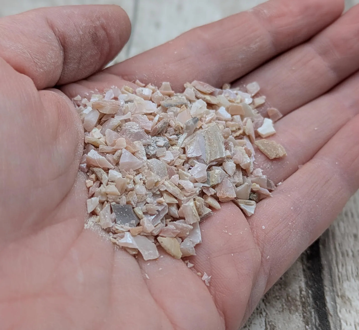 new Zealand pink freshwater water mussel shell chips.