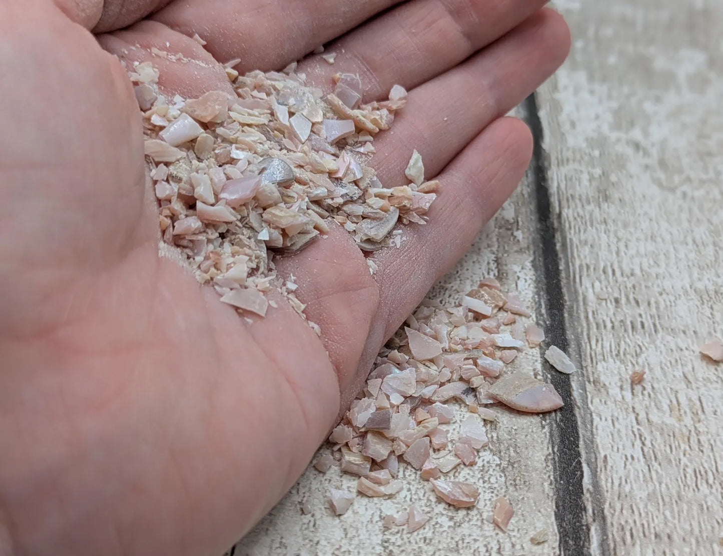 new Zealand pink freshwater water mussel shell chips.