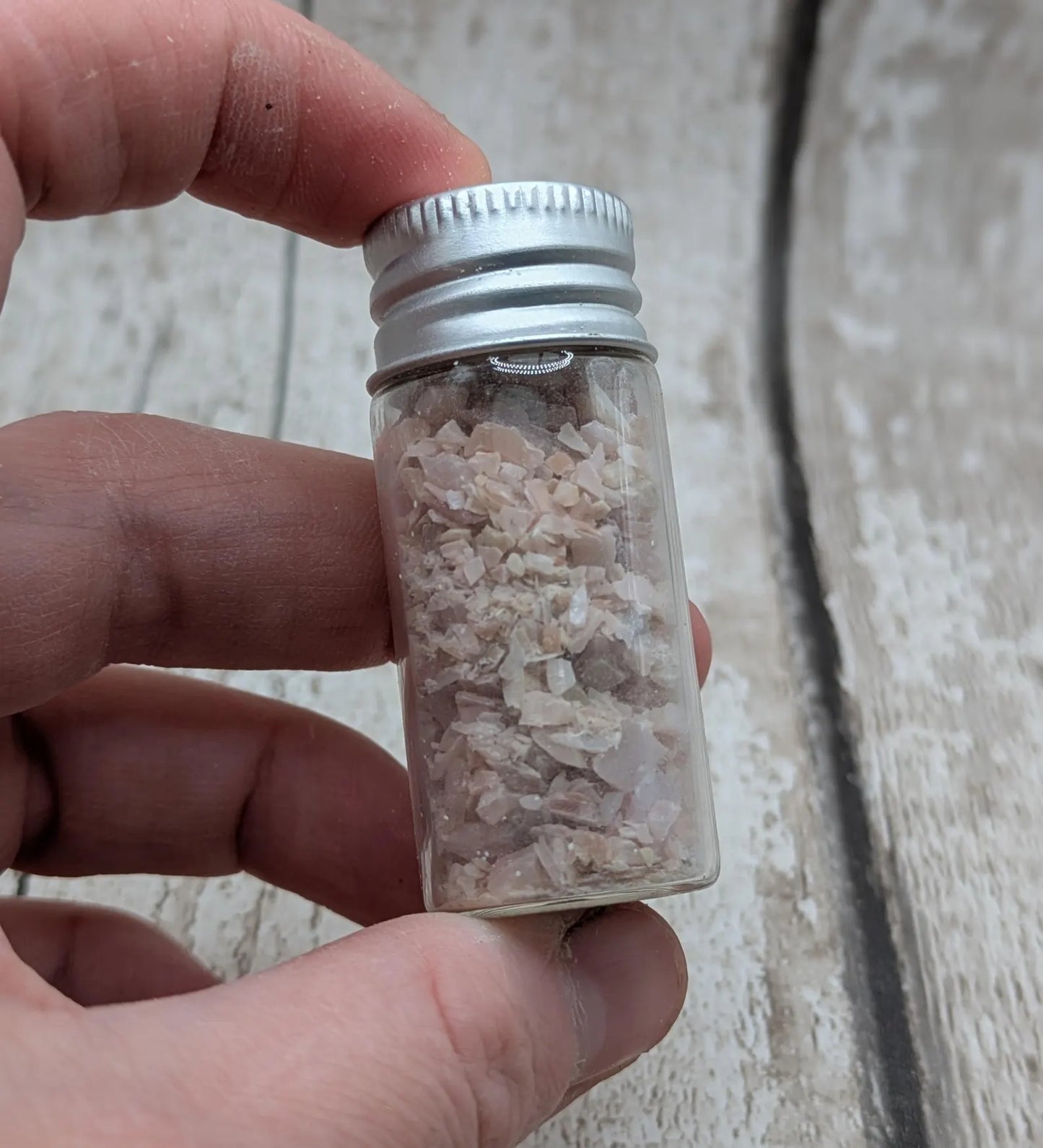 new Zealand pink freshwater water mussel shell chips.