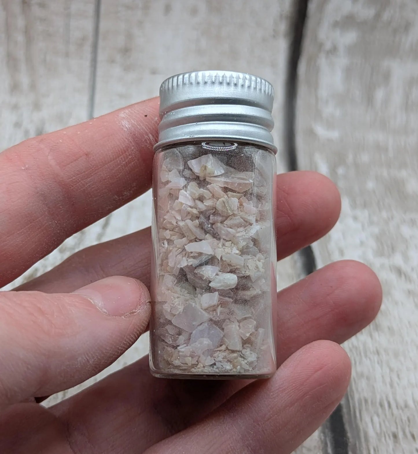 new Zealand pink freshwater water mussel shell chips.