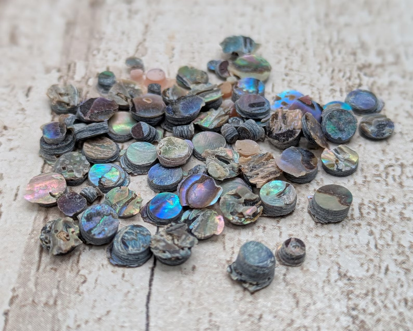 new Zealand rainbow pāua abalone shell dots for craft