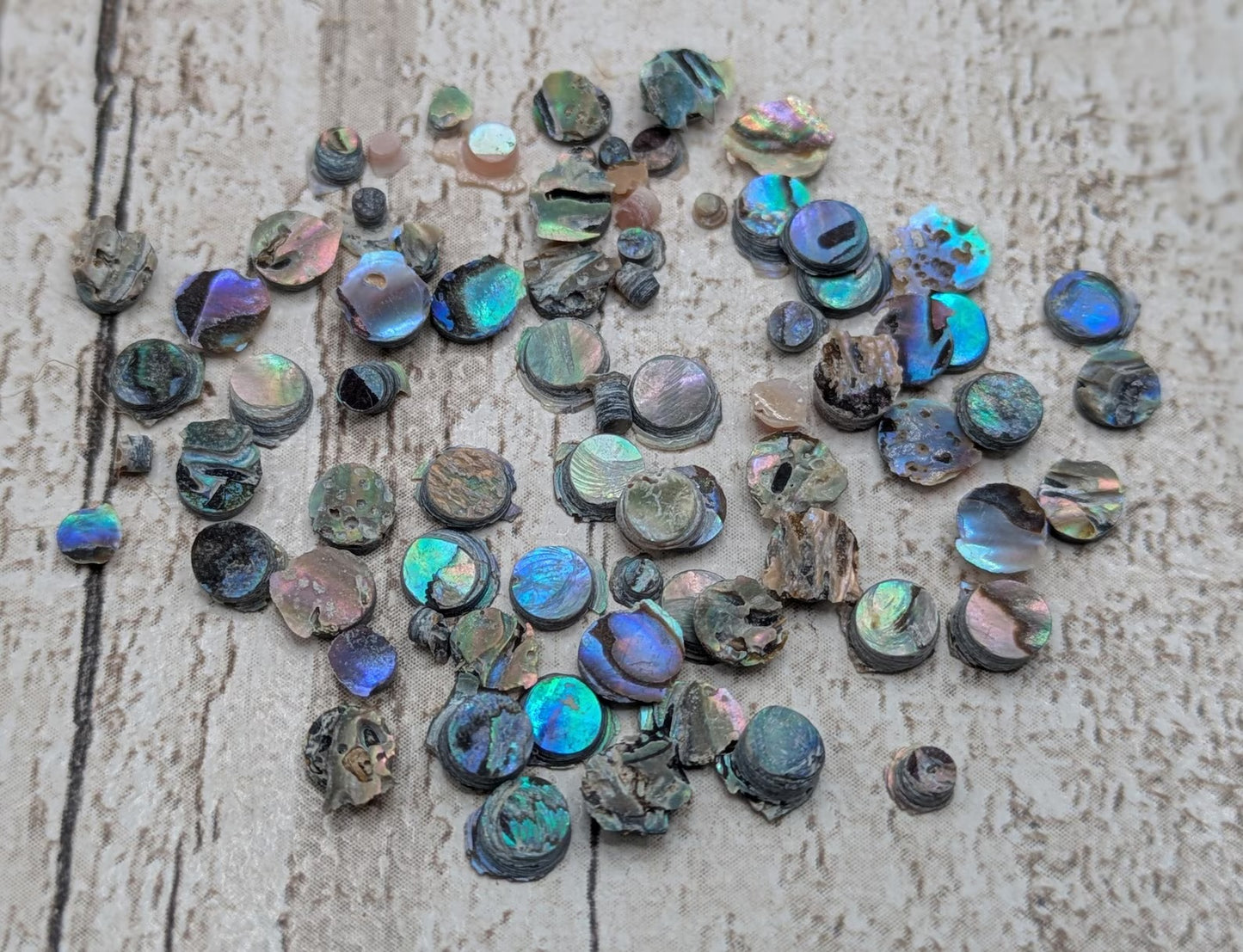 new Zealand rainbow pāua abalone shell dots for craft