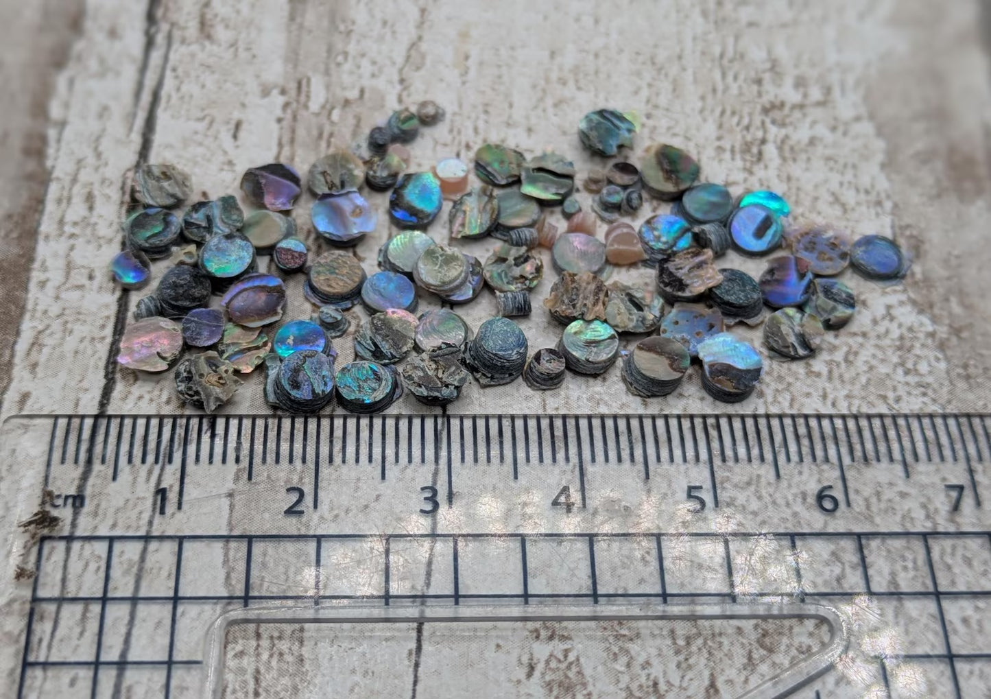 new Zealand rainbow pāua abalone shell dots for craft