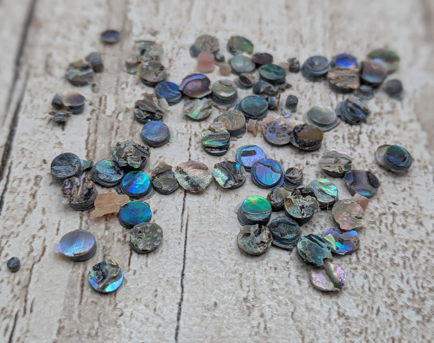 new Zealand rainbow pāua abalone shell dots for craft