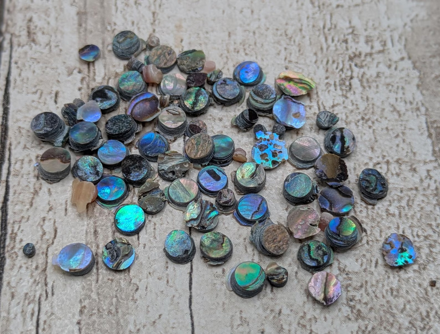 new Zealand rainbow pāua abalone shell dots for craft