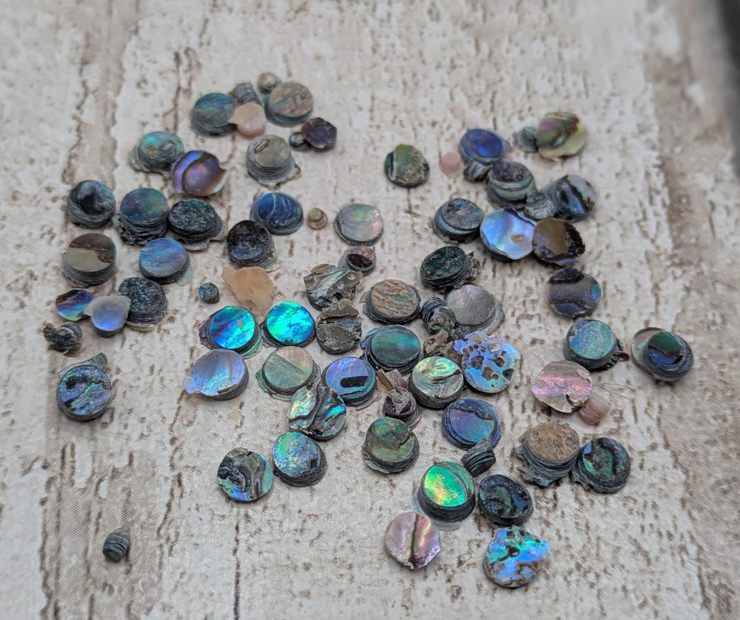 new Zealand rainbow pāua abalone shell dots for craft