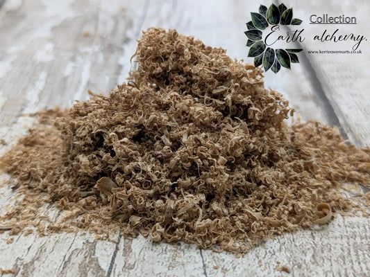 Whiskey barrel stage oak wood shaving for craft or spell work.