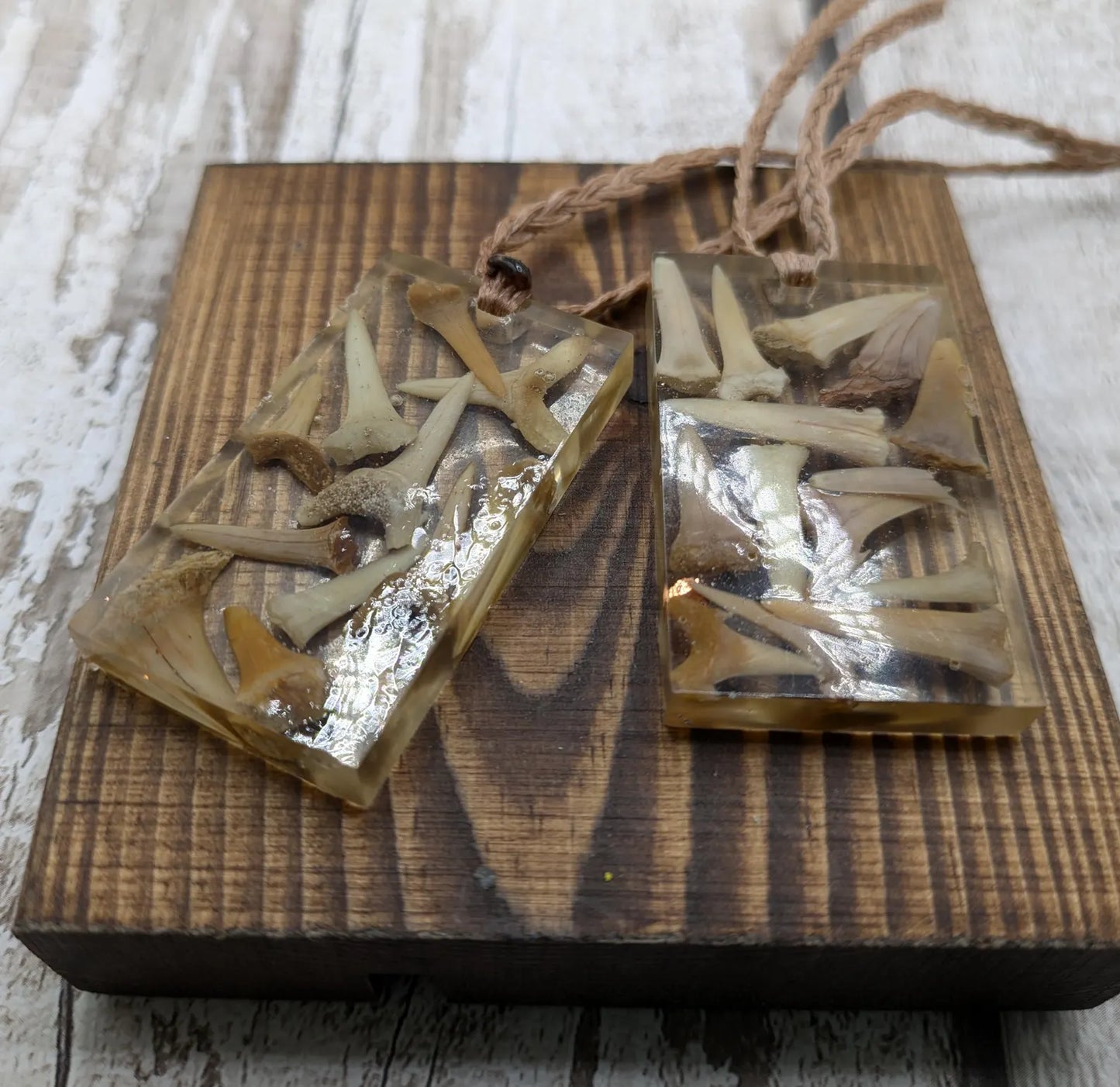 Fossilised sharks tooth in resin Christmas decoration.