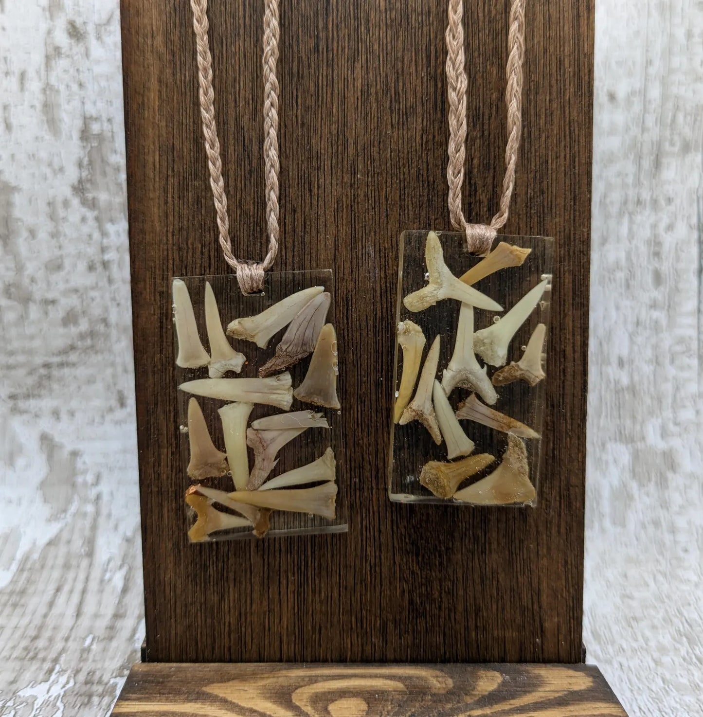 Fossilised sharks tooth in resin Christmas decoration.