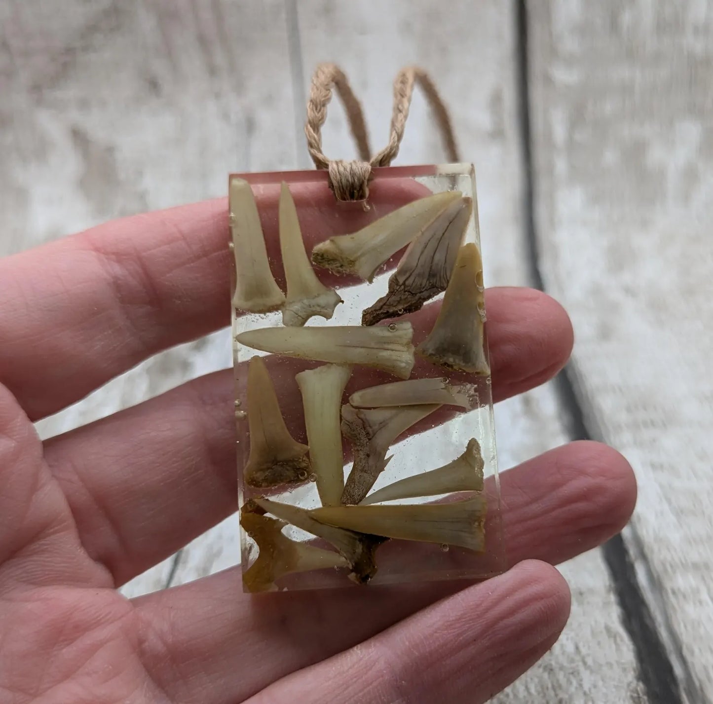 Fossilised sharks tooth in resin Christmas decoration.